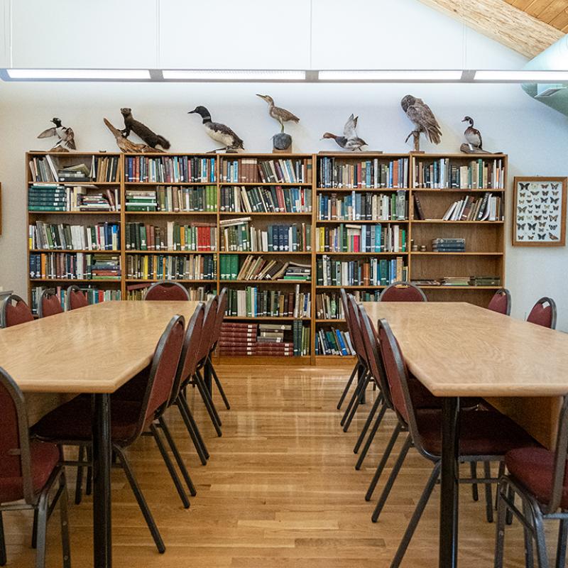 Tables, chairs, bookcases, and stuffed birds, inside the Fowler Herbarium.
