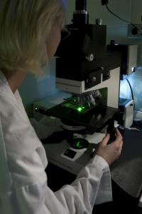 Researcher using a microscope.