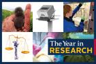 [The Year in Research - Photo Collage]