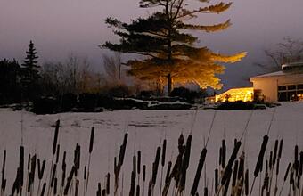A nightime winter scene at Rodden Park