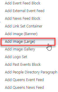 Selecting Add Image (Large) Menu Item