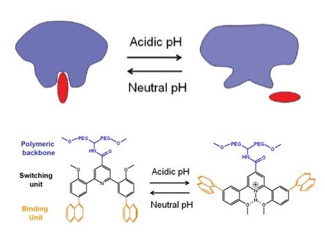 Molecular tweezers