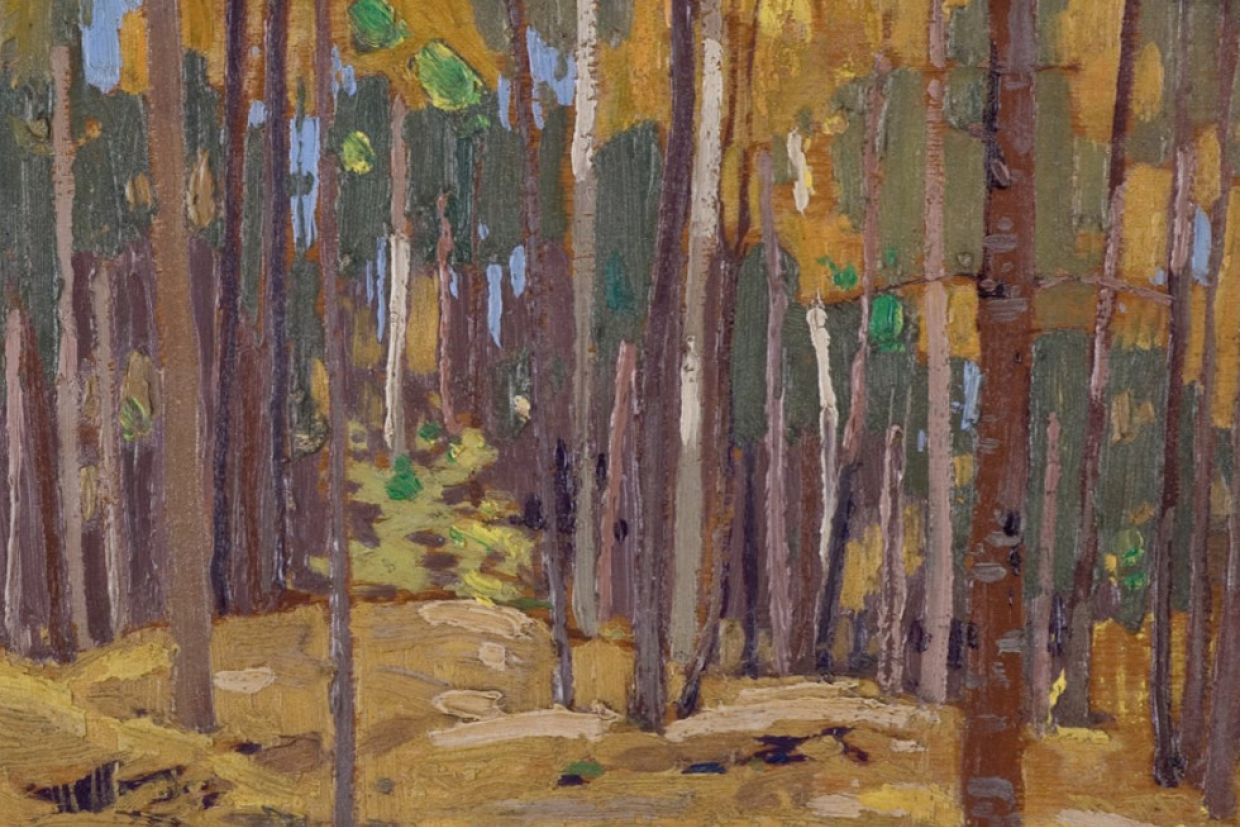 Tom Thomson, Autumn Woods, 1916, oil on wood panel. Gift of Margaret Botterell in memory of Dr Harry Botterell, 1998