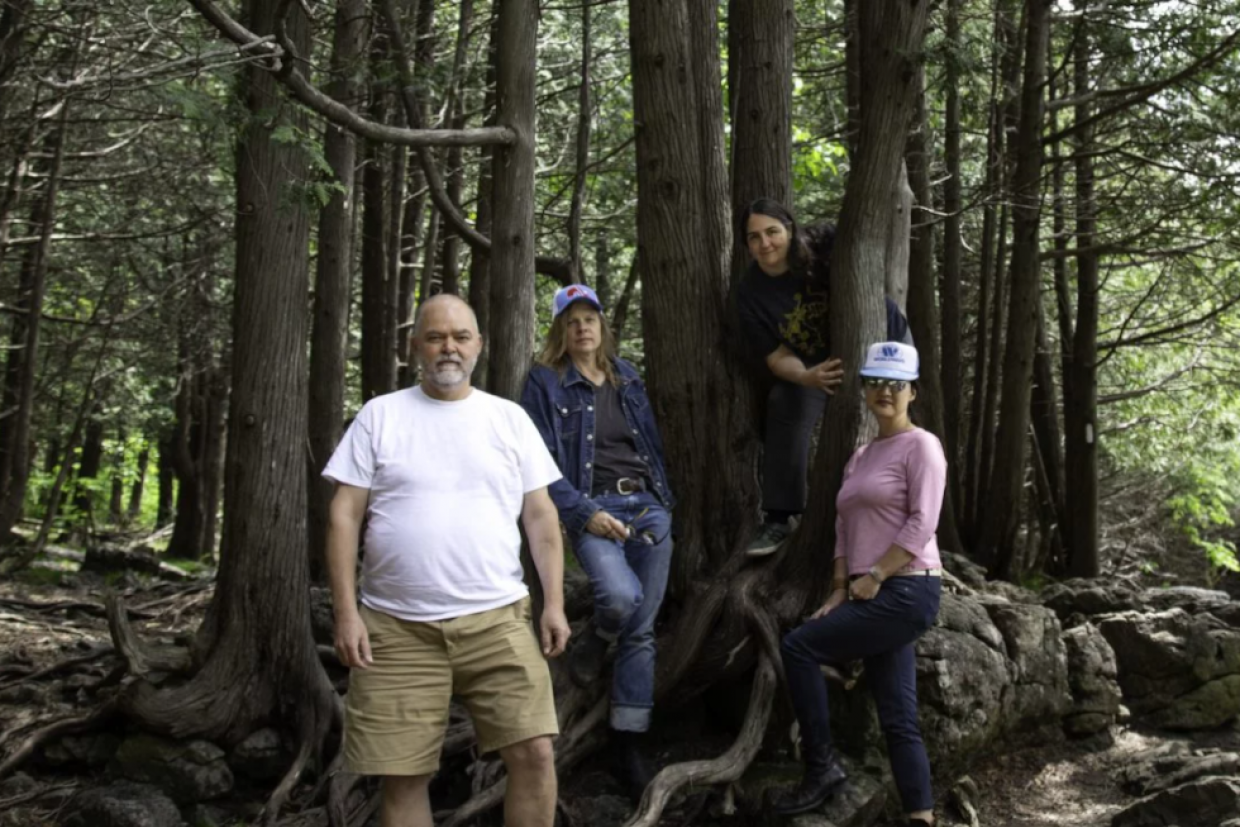 Members of the band Long Beach stand in a forest