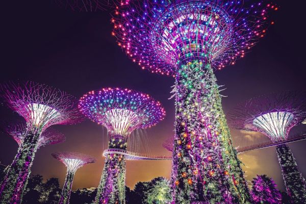 Gardens by the bay (in Singapore) at night.