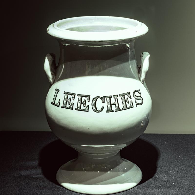 A ceramic urn with 'Leeches' printed on the front.