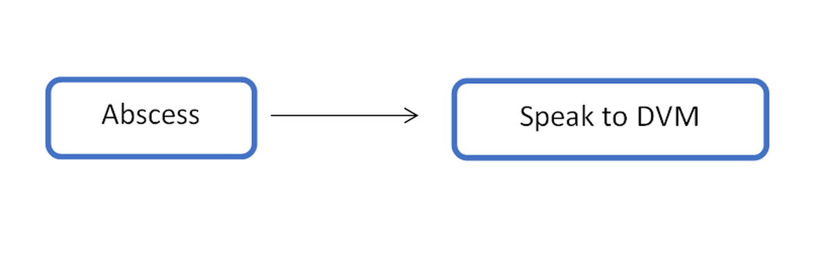 Flow Chart,  Abscesses