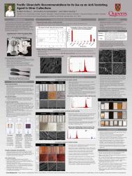 A poster for Gyllian Porteous' research project