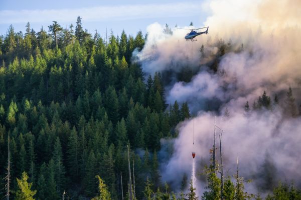 Helicopter drops water on a smoking forest.
