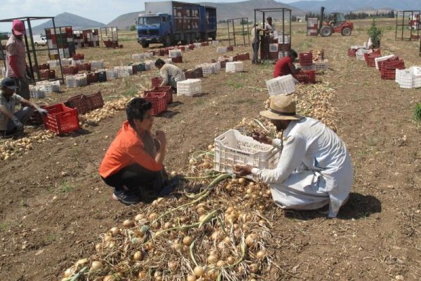 New art installation shines light on migrant workers