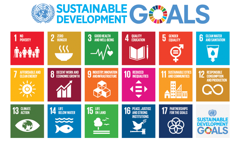 The UN SDGs