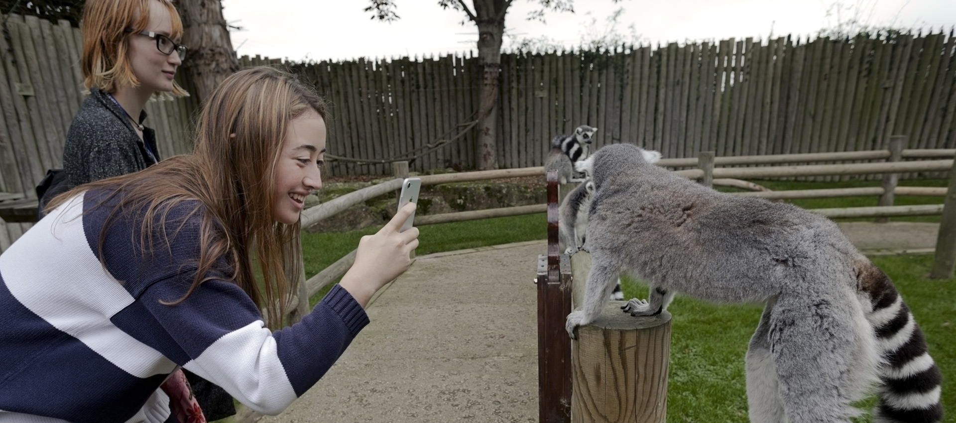 Students with a lemur at Drusilla's Zoo