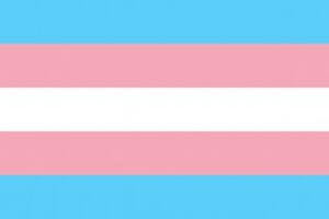 trans flag