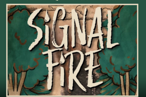 signal fire design