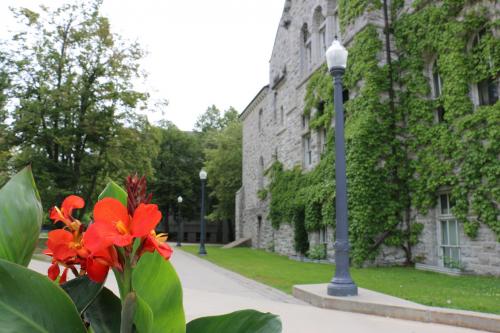 Photograph of the side of Ontario Hall, covered in Ivy, with a vantage point down the nearby walkway, and summer flowers in bloom.