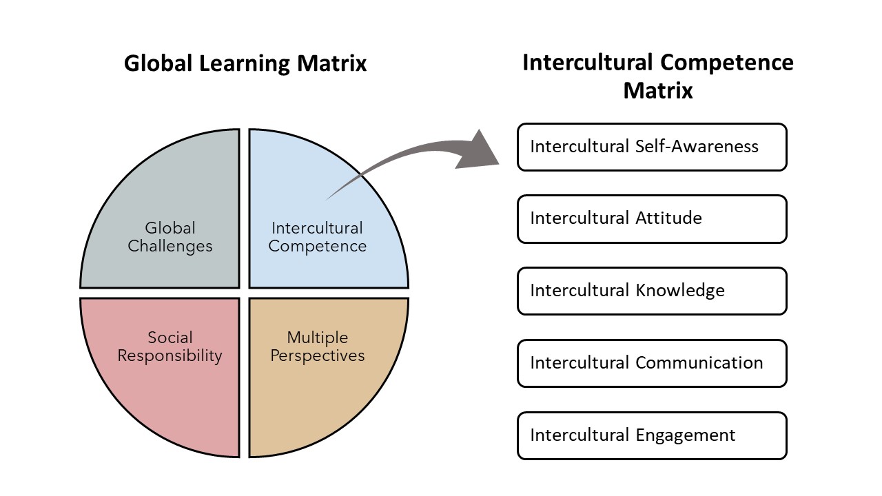 Global Learning Matric to Intercultural Competence Matrix visualization