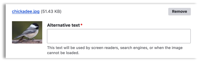interface screenshot of field for adding alt text