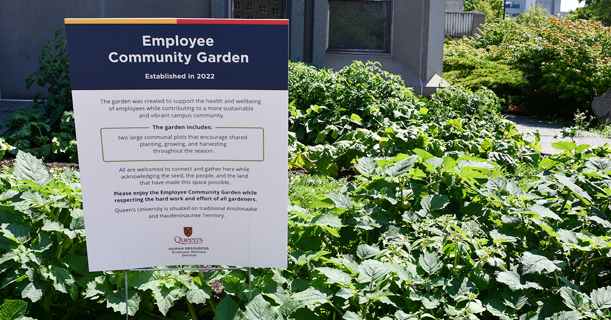 Supporting employee wellness through gardening | Queen's Gazette ...