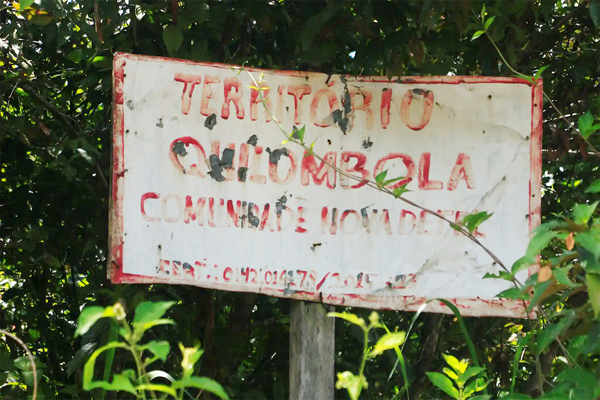 A red and white Sign in the jungle. 