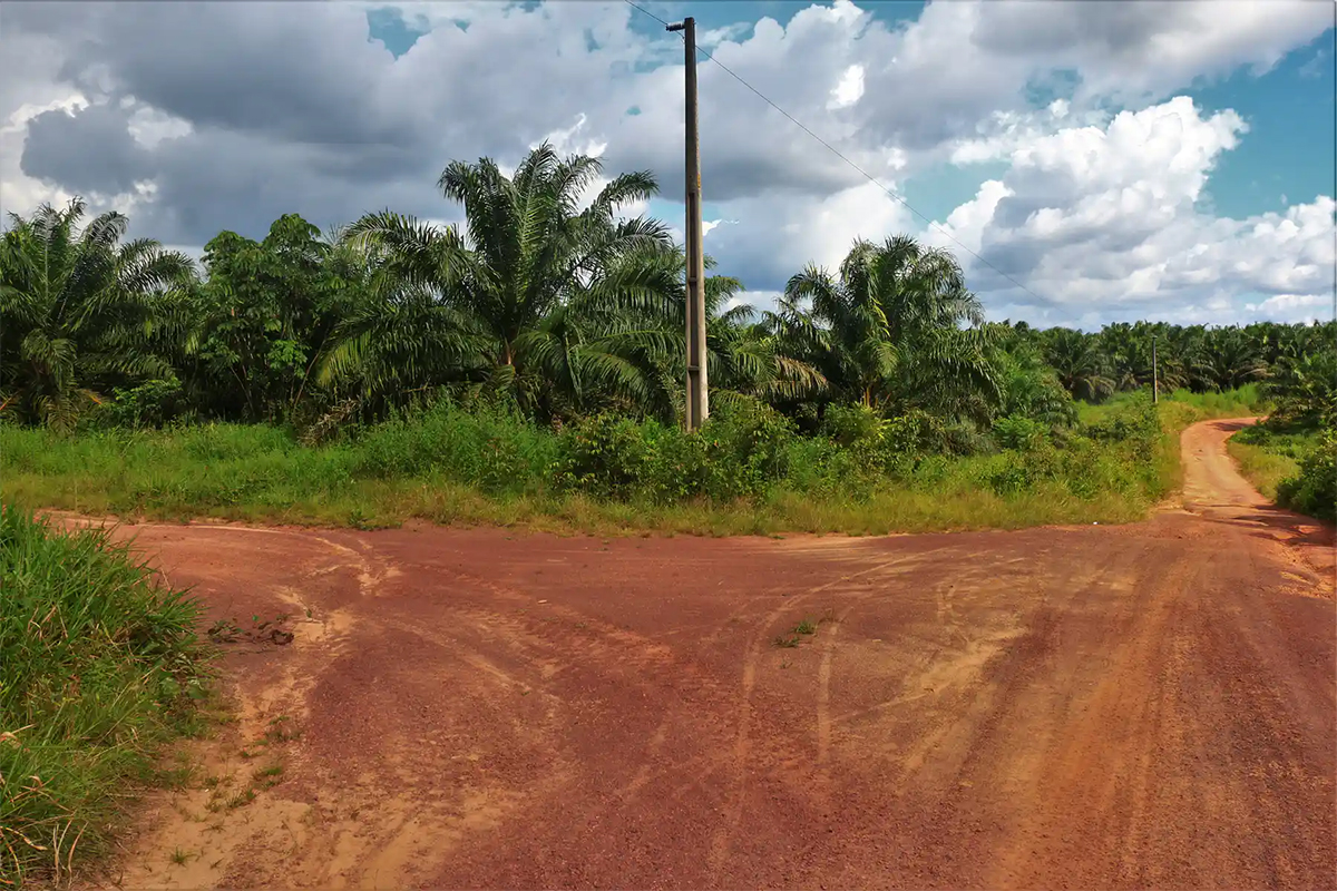 A fork in the road in the Amazon area of Brazil
