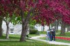 People take a group photo near a flowering tree