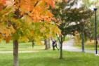 Fall colours near Summerhill