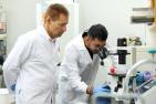 Dr. Kubes and PhD student Kartik Sachdeva examine a cell sample under a microscope.