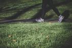 A person walks along a path in a park