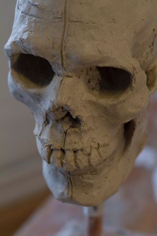 Skull in Plaster