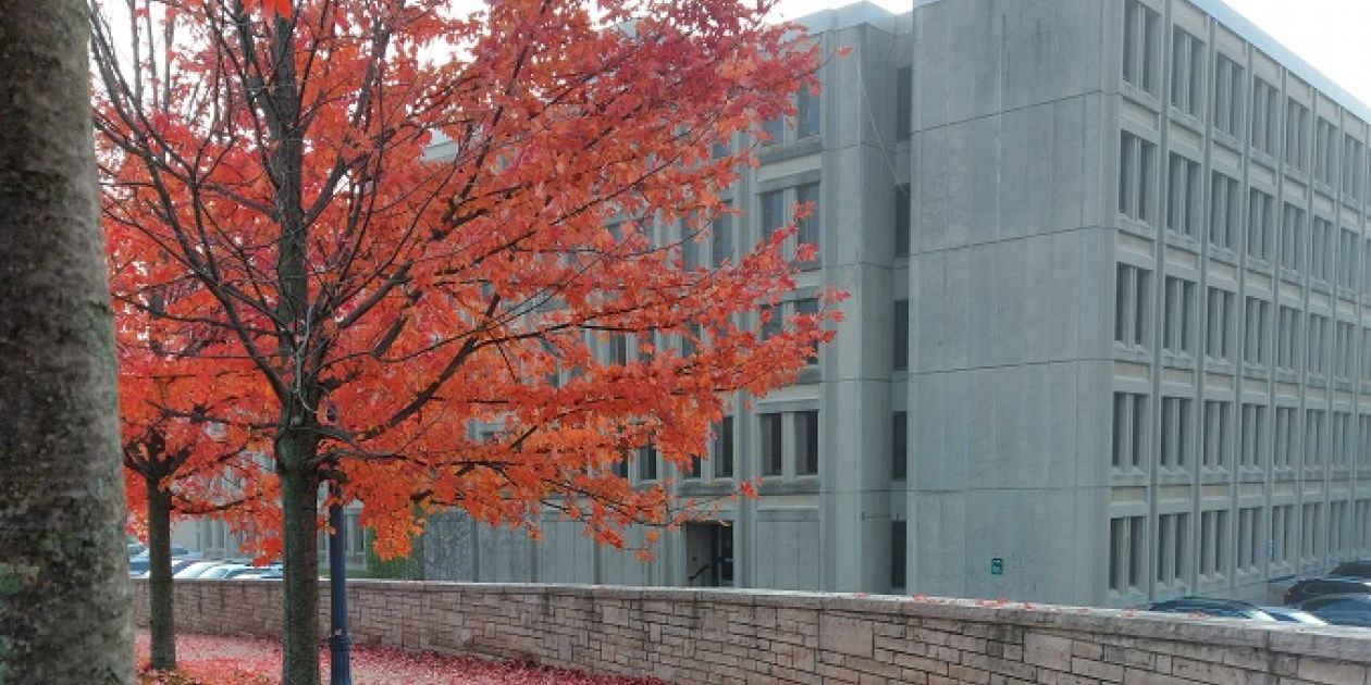 Pathway Watson Hall