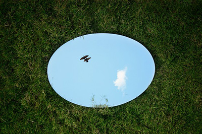 Mirror in the grass reflecting the image of an eagle.