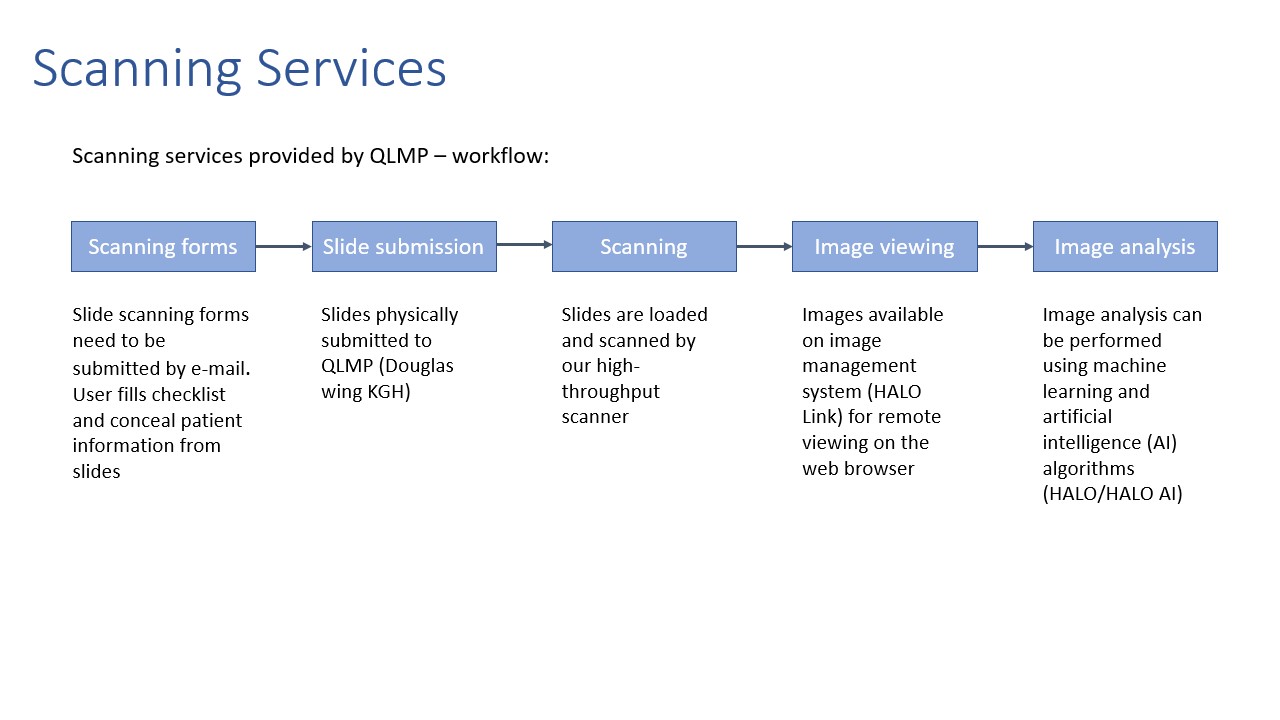 Scanning Services Workflow graphic decorative