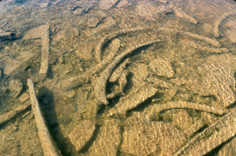 bones under water