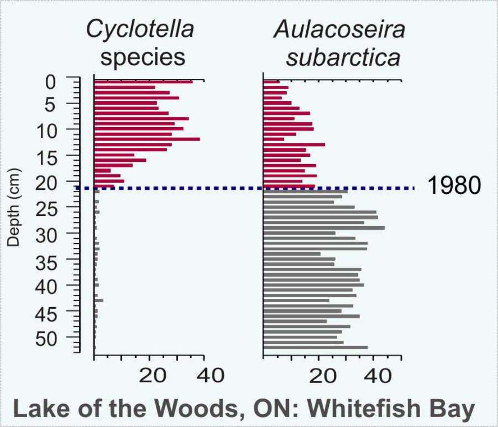 Diatom shifts in Whitefish Bay