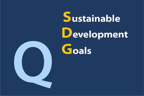 " Q Sustainable Development Goals" 