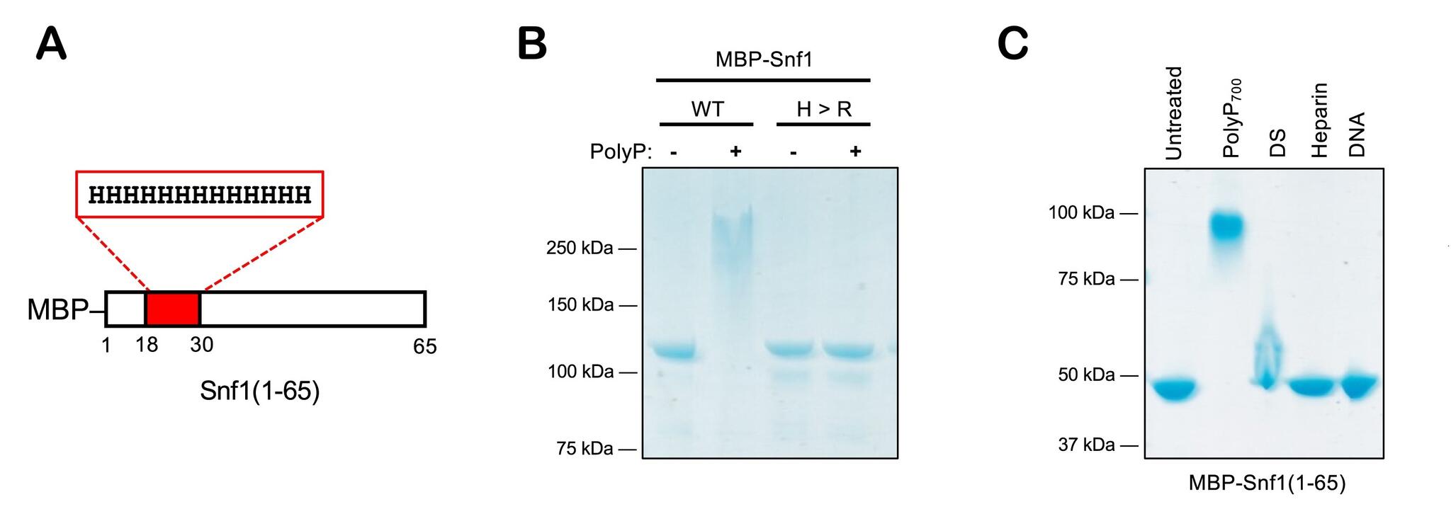 Characterizing Interactions Image