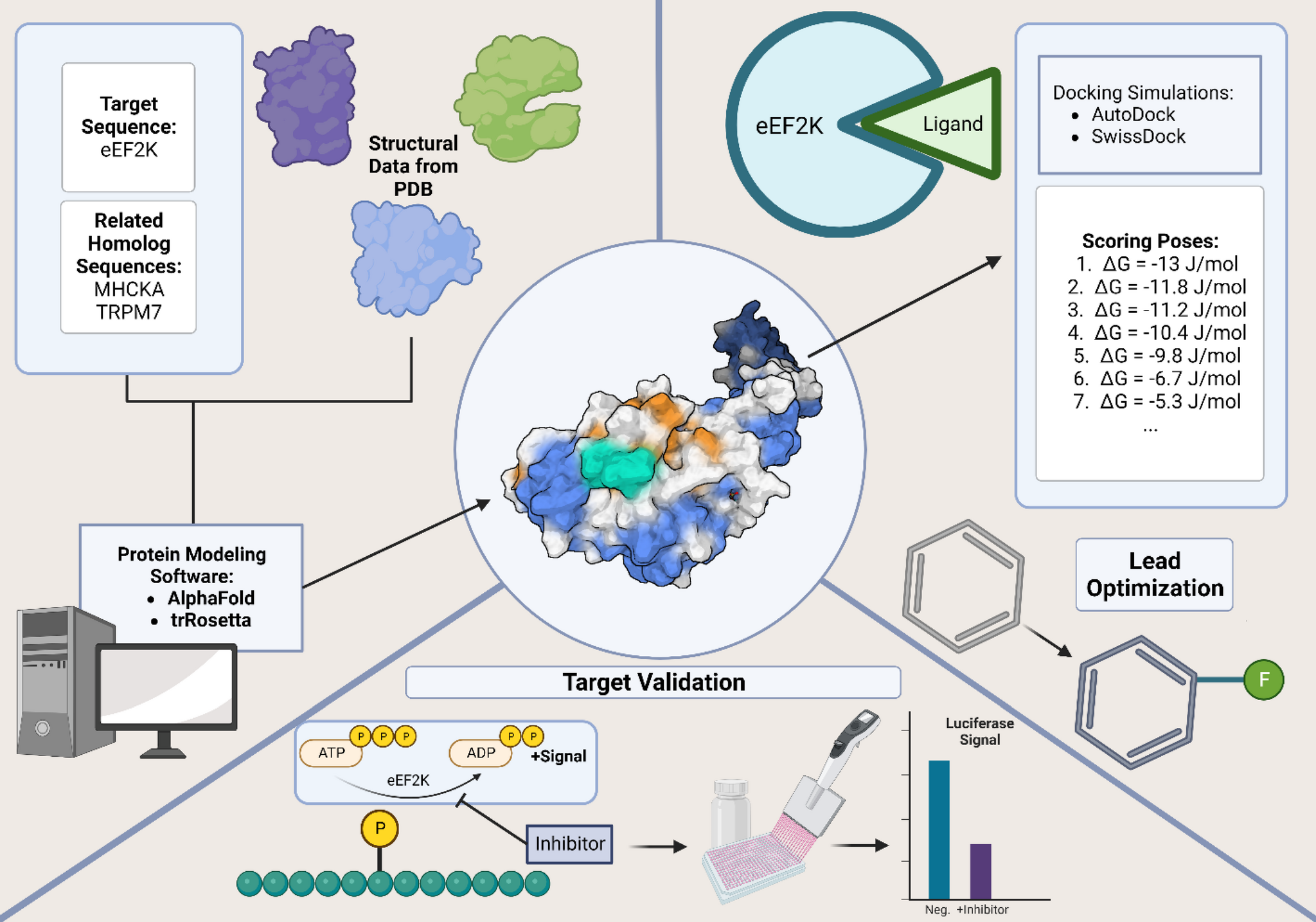 Atypical Kinases Image