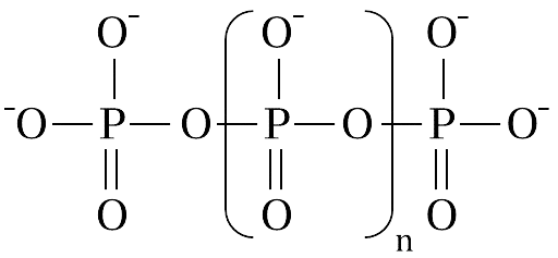 Polyphosphate Structure