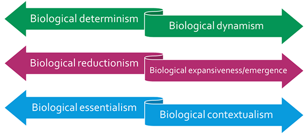 Three forms of biologisms in arrows going backwards (determinism, reductionism, and essentialism) with three matching
				feminist/queer forms of bioscience going forwards (dynamism, expansiveness/ emergence, and contextualism)