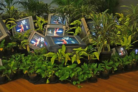 A ‘TV Garden?’ How video artist Nam June Paik anticipated pressing environmental questions