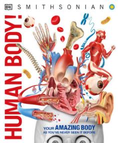Knowledge Encyclopedia: Human Body, by DK with Smithsonian
