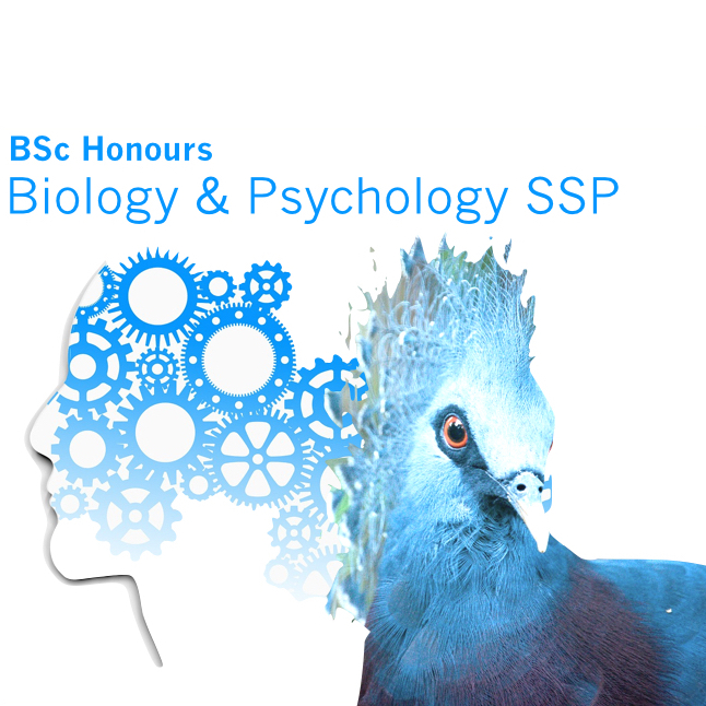 Biology - Psychology