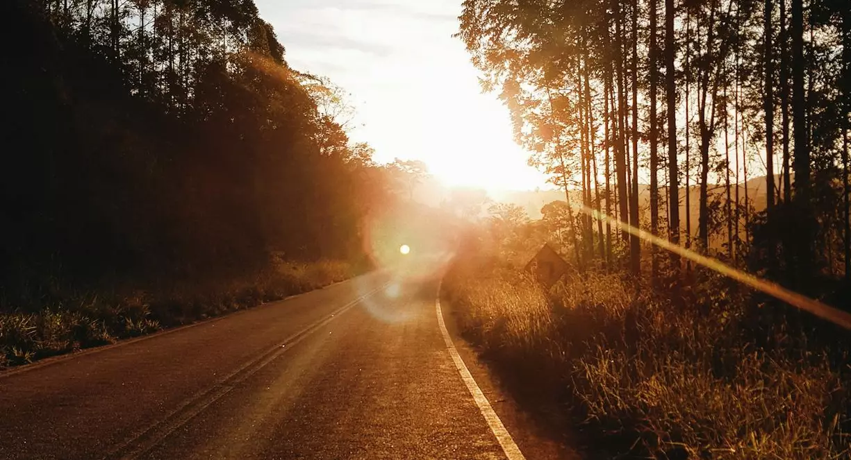 A road lined with trees and the sun setting and shining ahead