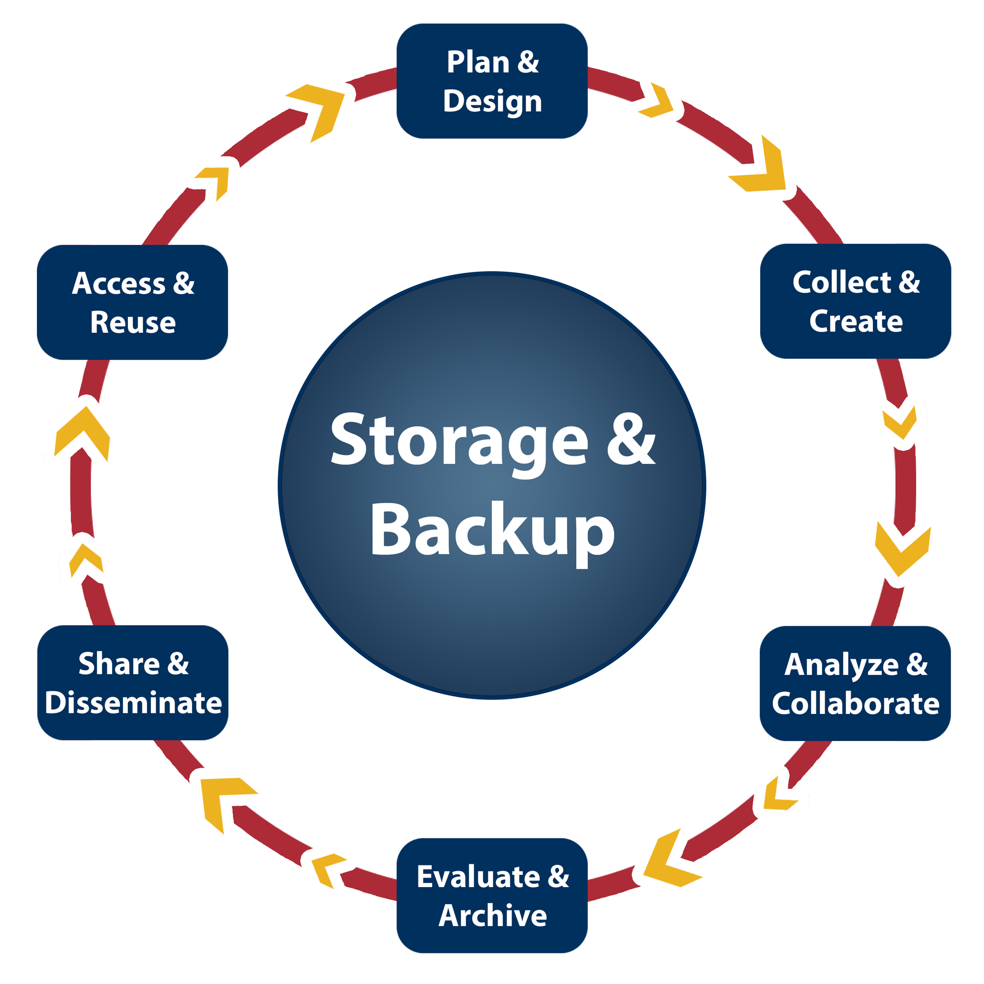 Research Data Lifecycle infographic